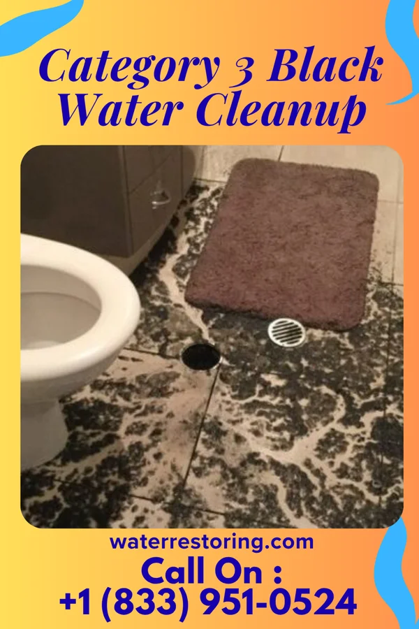Category 3 Black Water Cleanup in Barnhill, OH