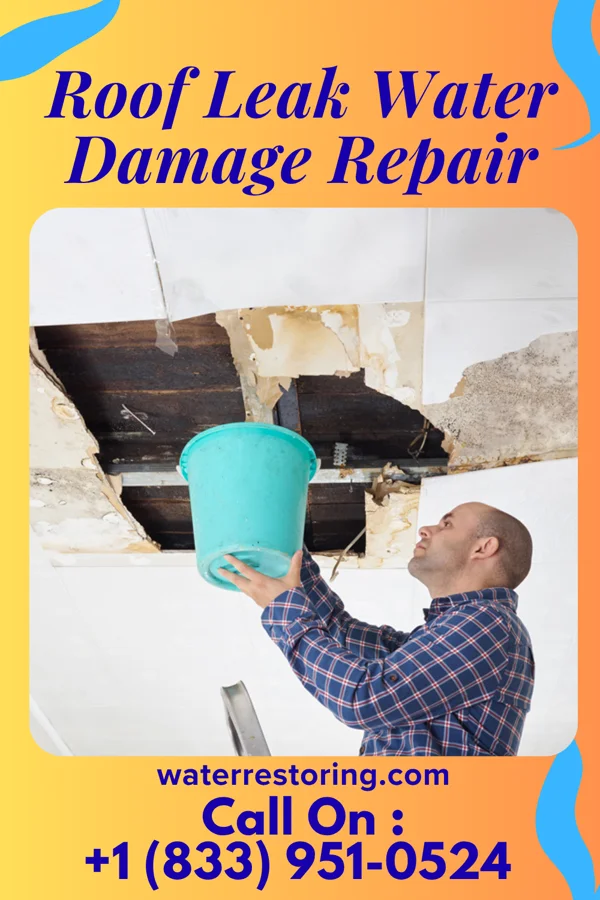 Roof Leak Water Damage Repair in Barnhill, OH