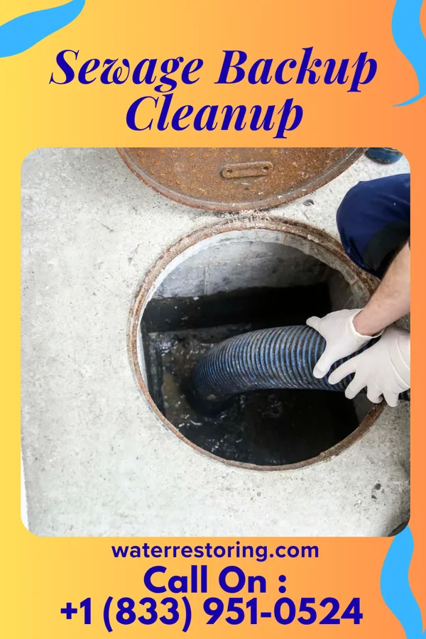 Sewage Backup Cleanup in Barnhill, OH