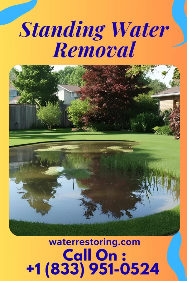 Standing Water Removal in Barnhill, OH